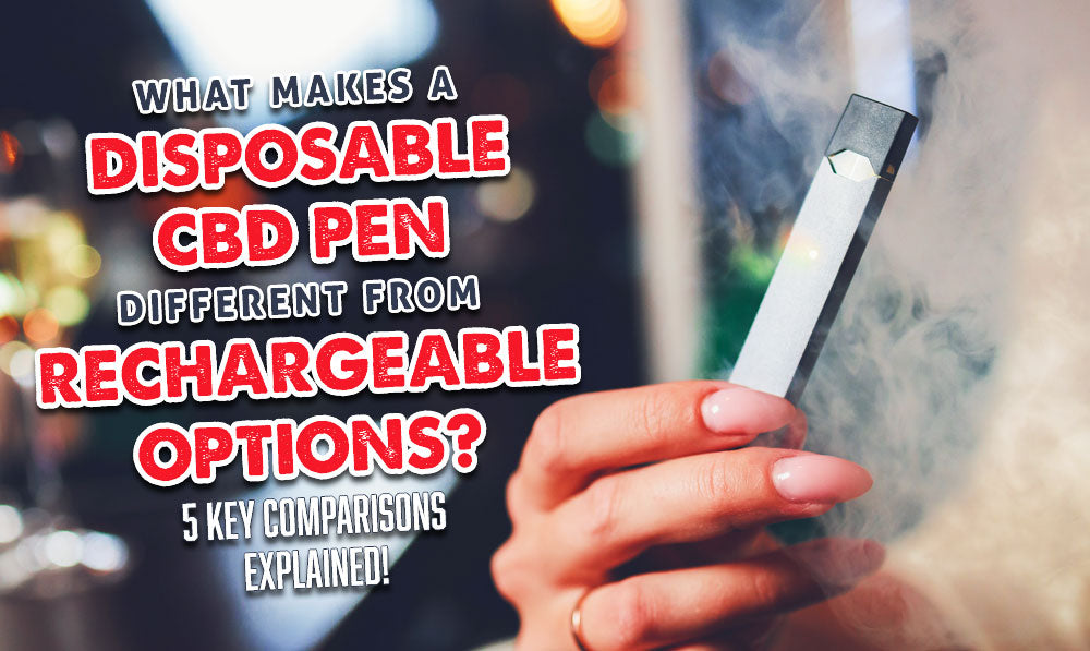 What Makes a Disposable CBD Pen Different From Rechargeable Options? 5 Key Comparisons Explained